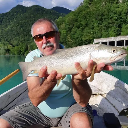 Hébergement de vacances Hisa Jan